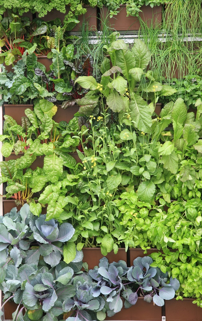 Vertical Herb Garden • Insteading